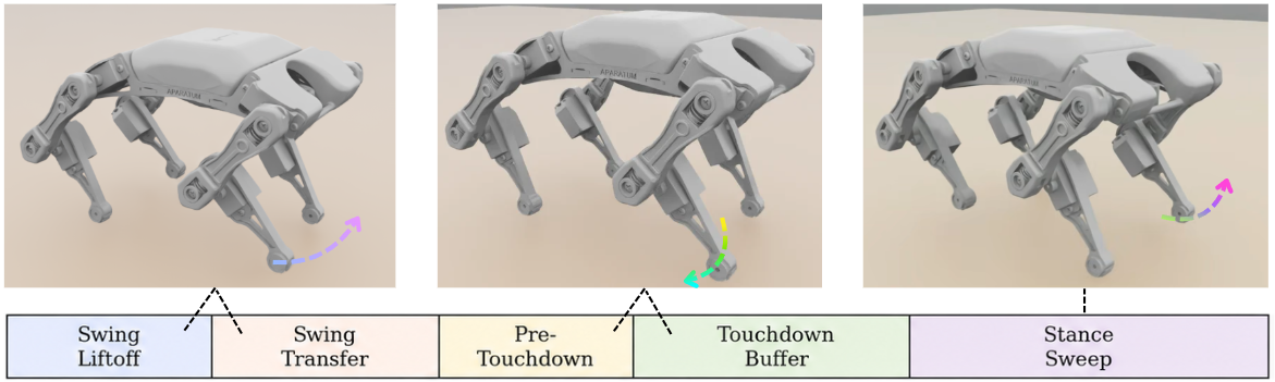 CPG gait stages